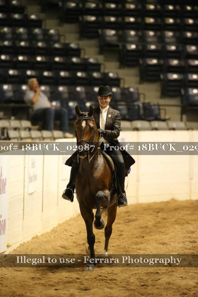 Proof 18BUCK_02987