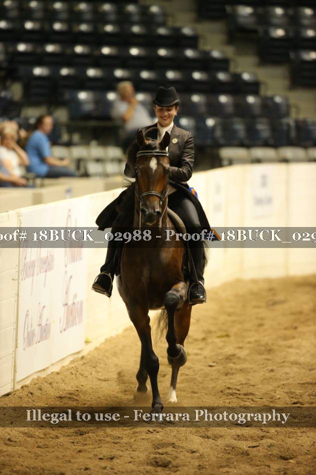 Proof 18BUCK_02988