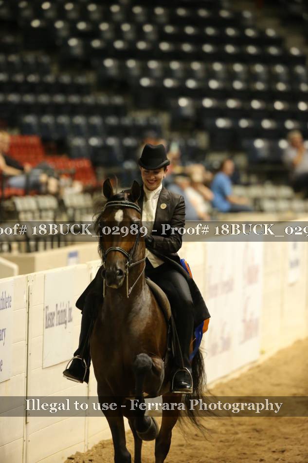 Proof 18BUCK_02989