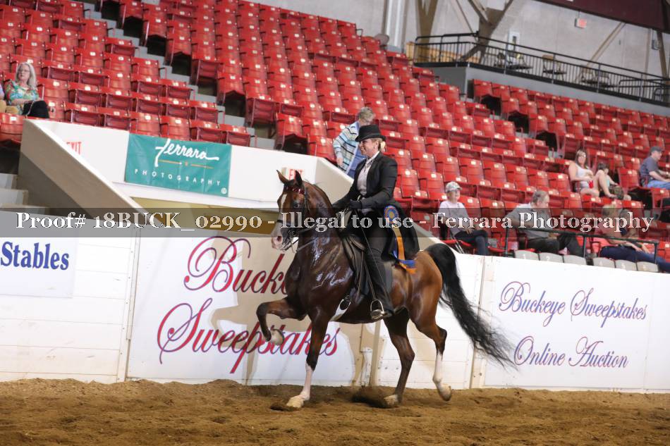 Proof 18BUCK_02990