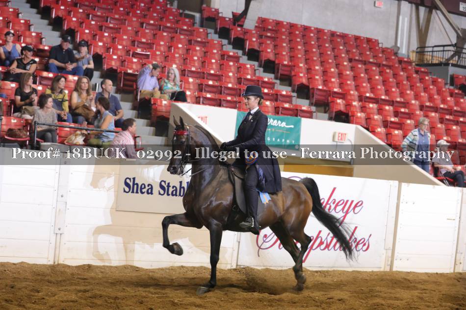 Proof 18BUCK_02992