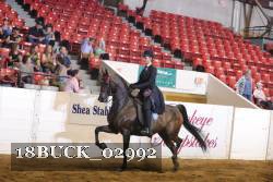 18BUCK_02992 proof