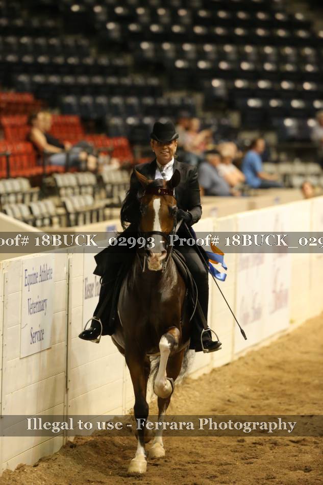 Proof 18BUCK_02993