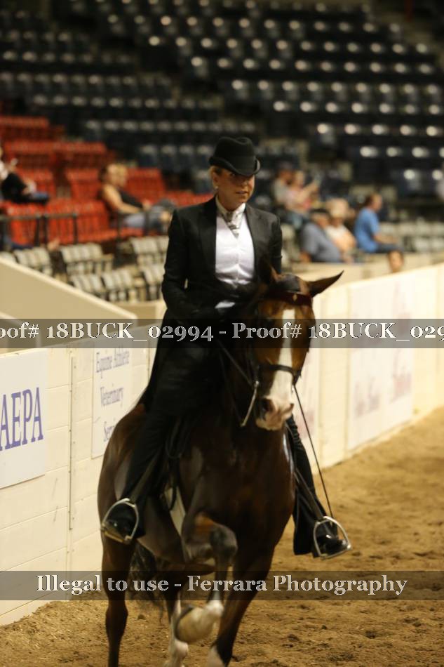 Proof 18BUCK_02994