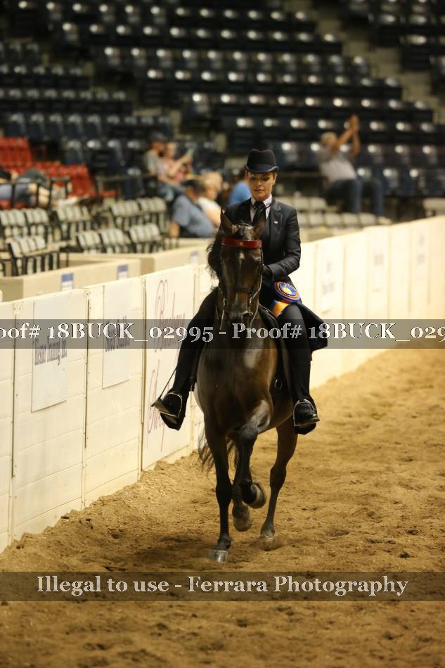 Proof 18BUCK_02995
