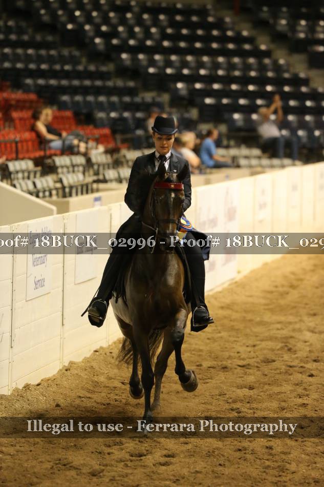 Proof 18BUCK_02996