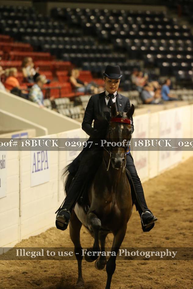 Proof 18BUCK_02997
