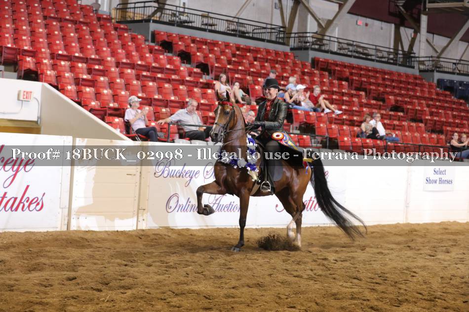 Proof 18BUCK_02998