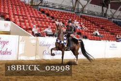 18BUCK_02998 proof