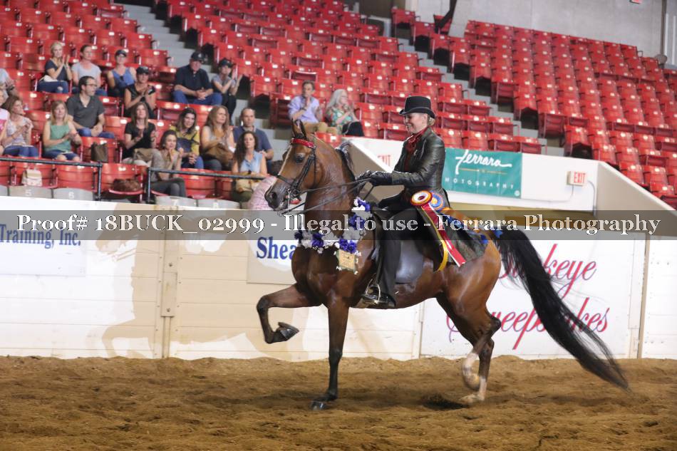 Proof 18BUCK_02999