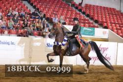 18BUCK_02999 proof
