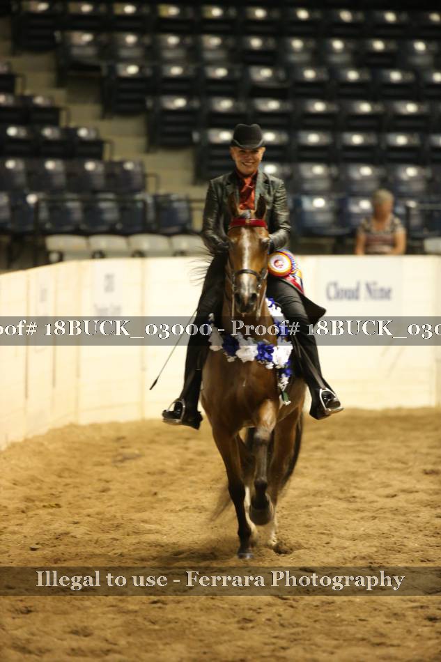 Proof 18BUCK_03000