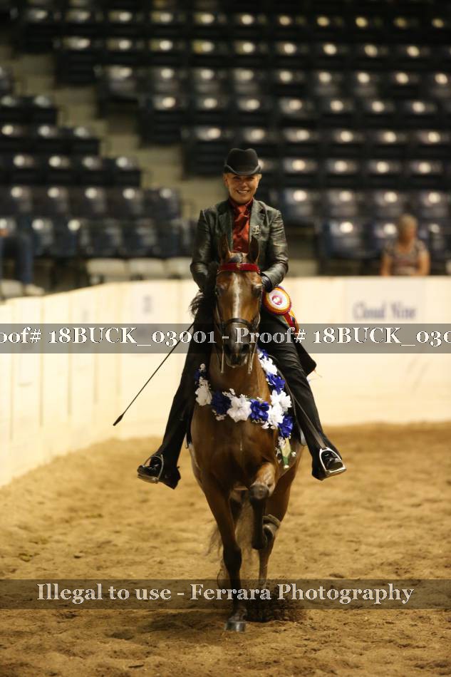 Proof 18BUCK_03001