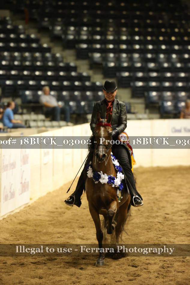 Proof 18BUCK_03002
