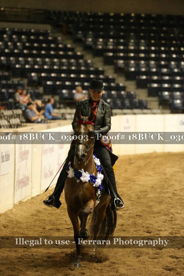 Proof 18BUCK_03003
