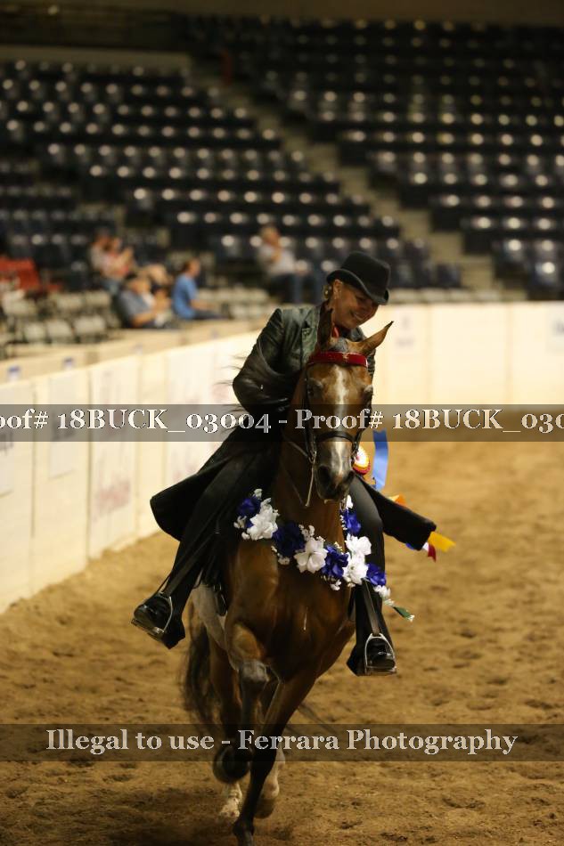 Proof 18BUCK_03004