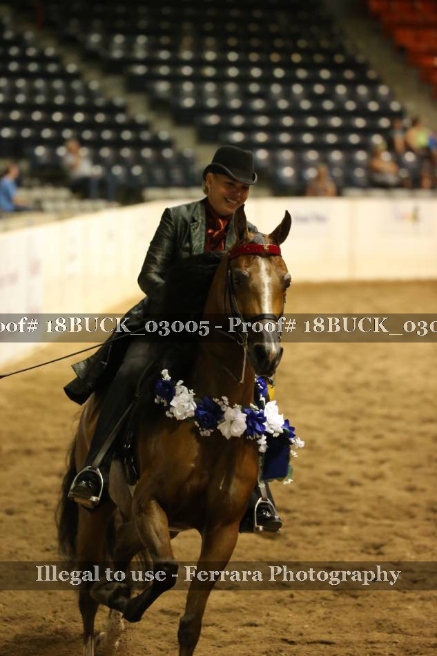 Proof 18BUCK_03005