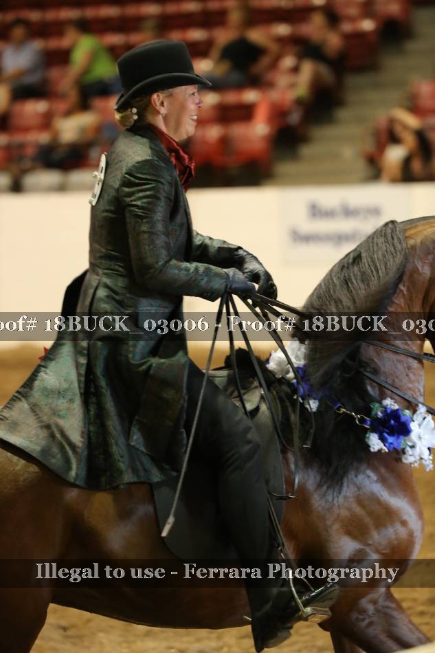 Proof 18BUCK_03006