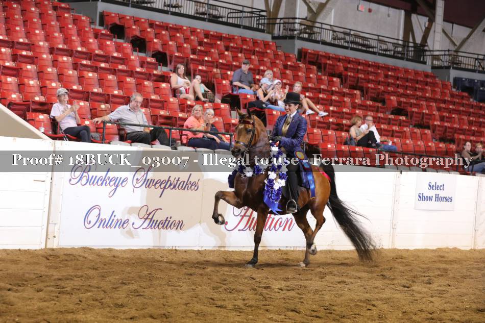 Proof 18BUCK_03007