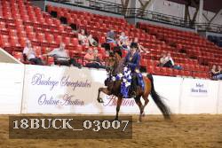 18BUCK_03007 proof