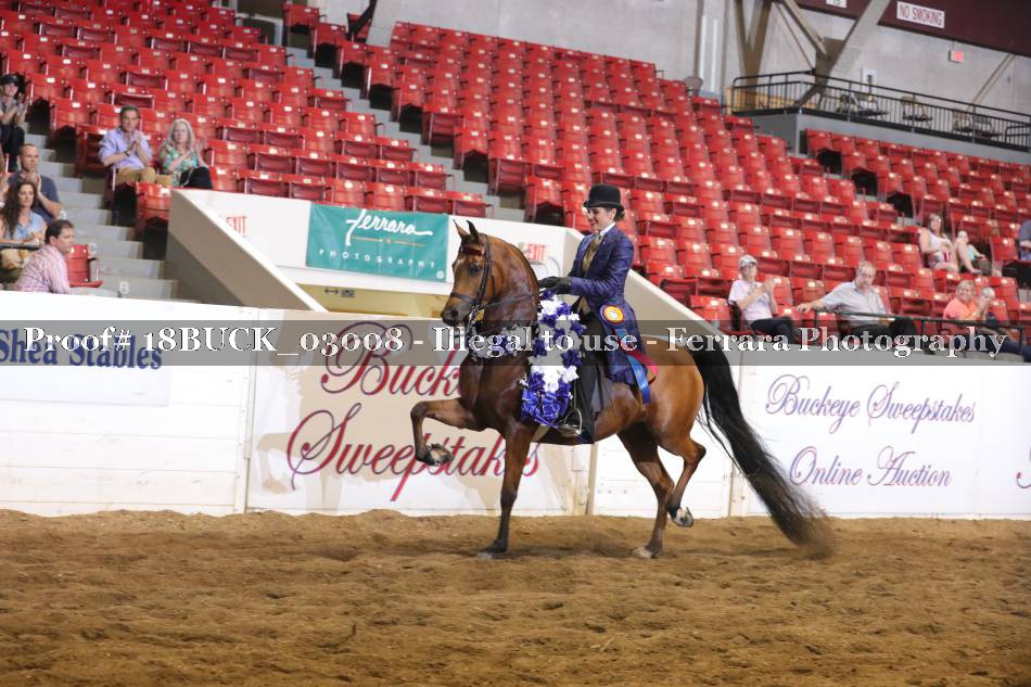 Proof 18BUCK_03008