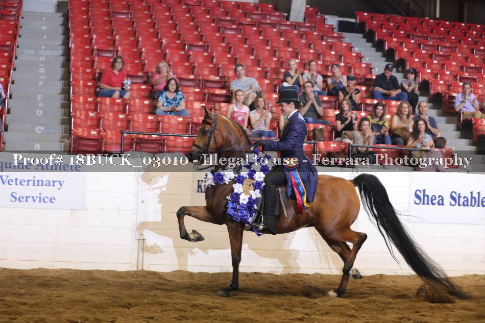 Proof 18BUCK_03010