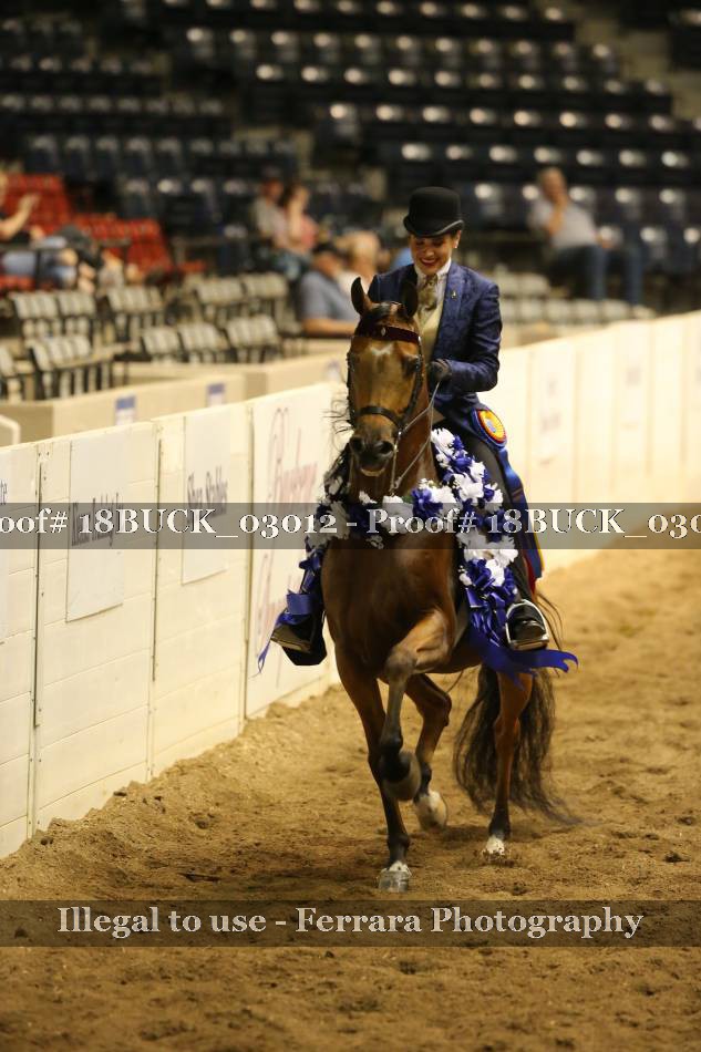 Proof 18BUCK_03012