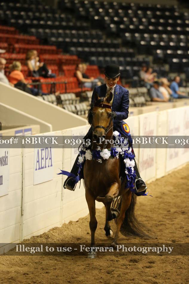 Proof 18BUCK_03013