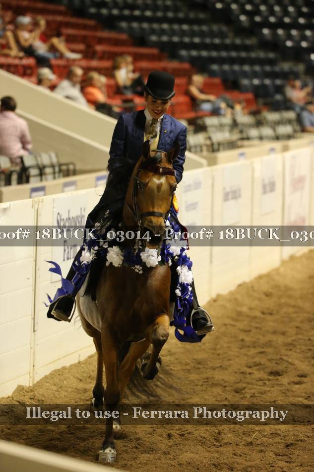 Proof 18BUCK_03014