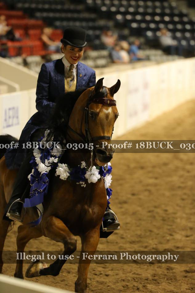 Proof 18BUCK_03015
