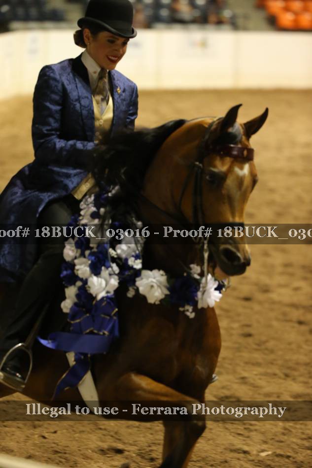 Proof 18BUCK_03016