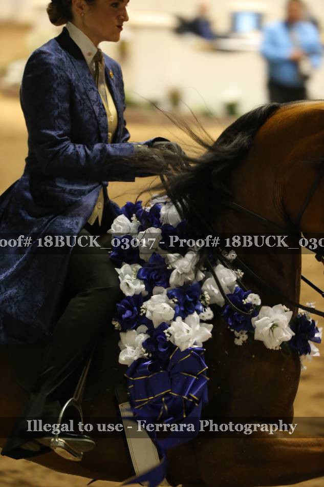 Proof 18BUCK_03017