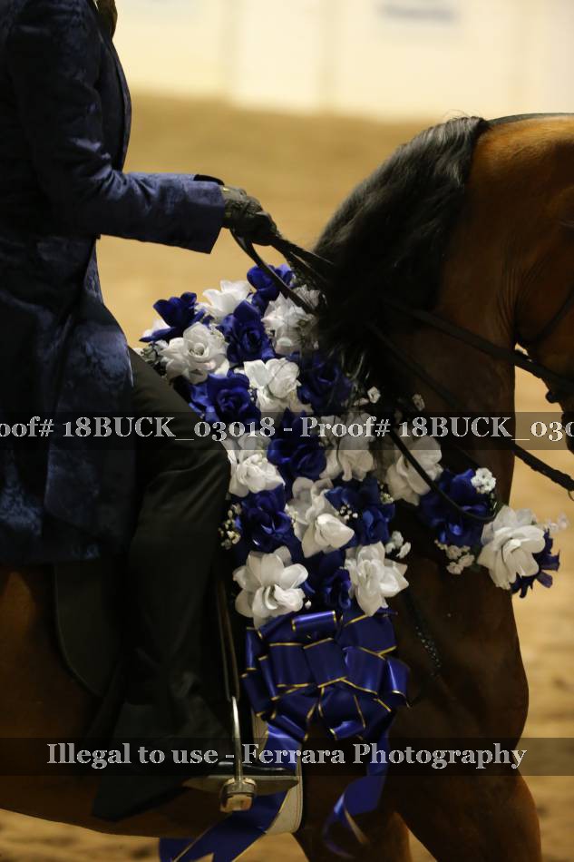 Proof 18BUCK_03018