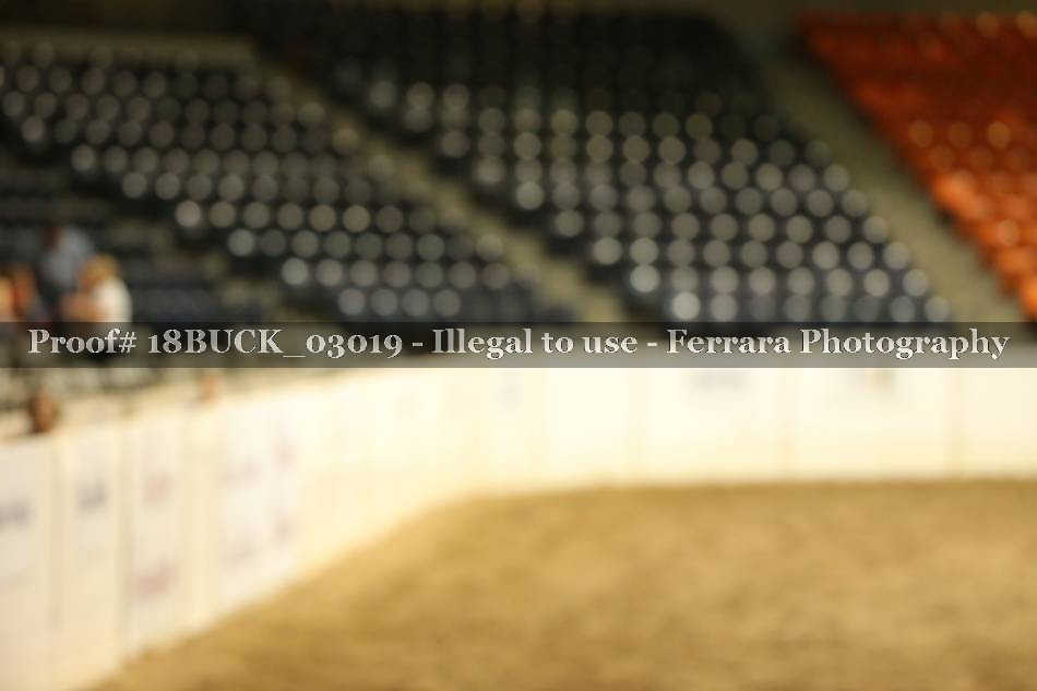 Proof 18BUCK_03019