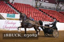 18BUCK_03082 proof