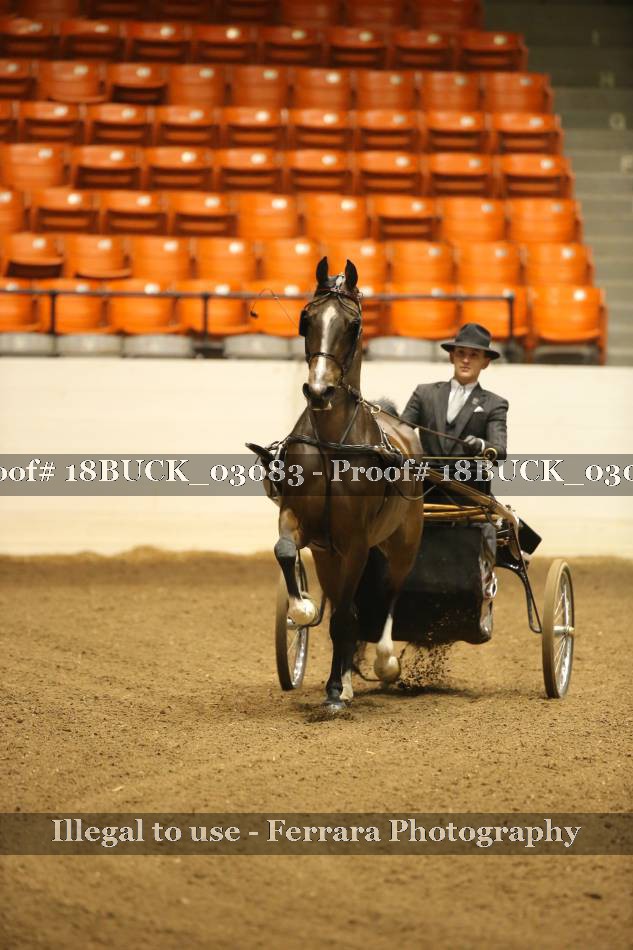 Proof 18BUCK_03083