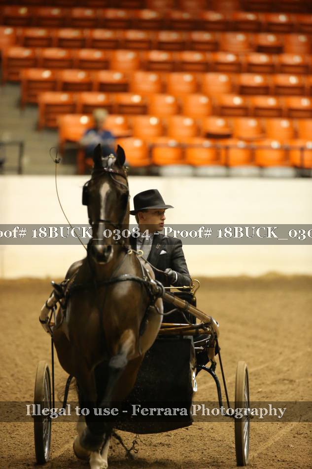 Proof 18BUCK_03084
