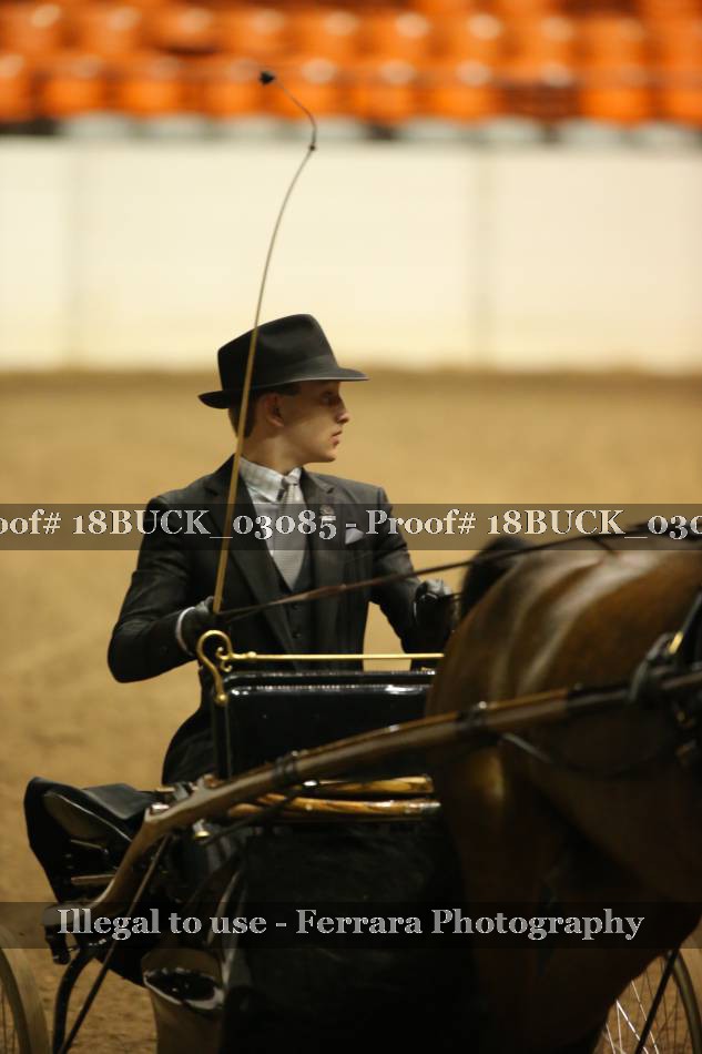 Proof 18BUCK_03085