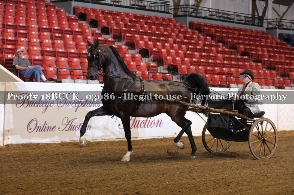 Proof 18BUCK_03086