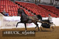 18BUCK_03086 proof