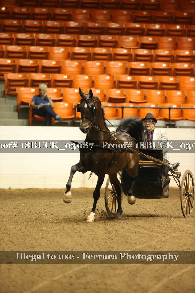 Proof 18BUCK_03087