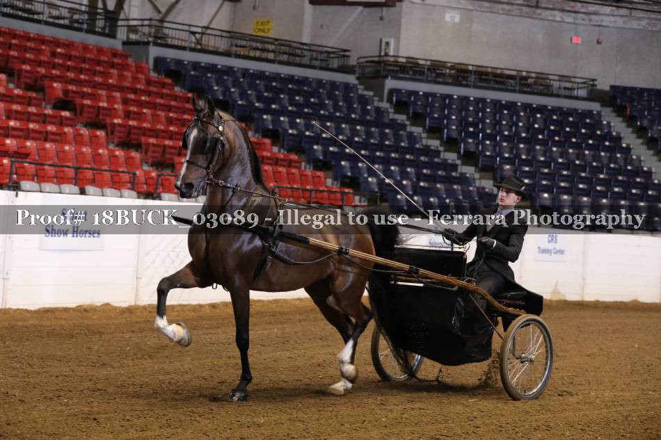 Proof 18BUCK_03089