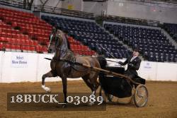 18BUCK_03089 proof