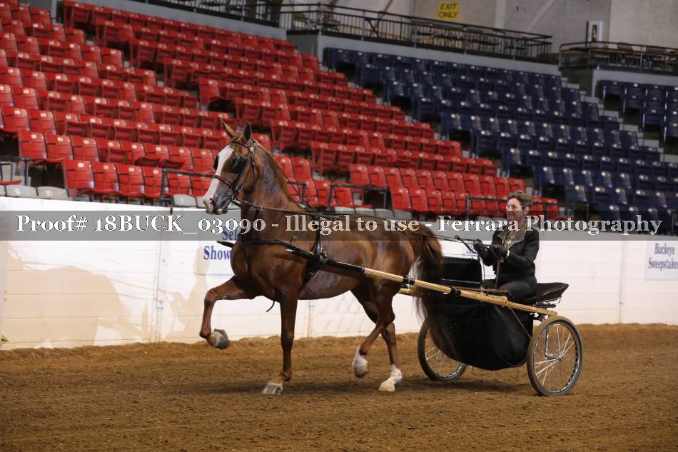 Proof 18BUCK_03090