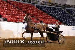 18BUCK_03090 proof