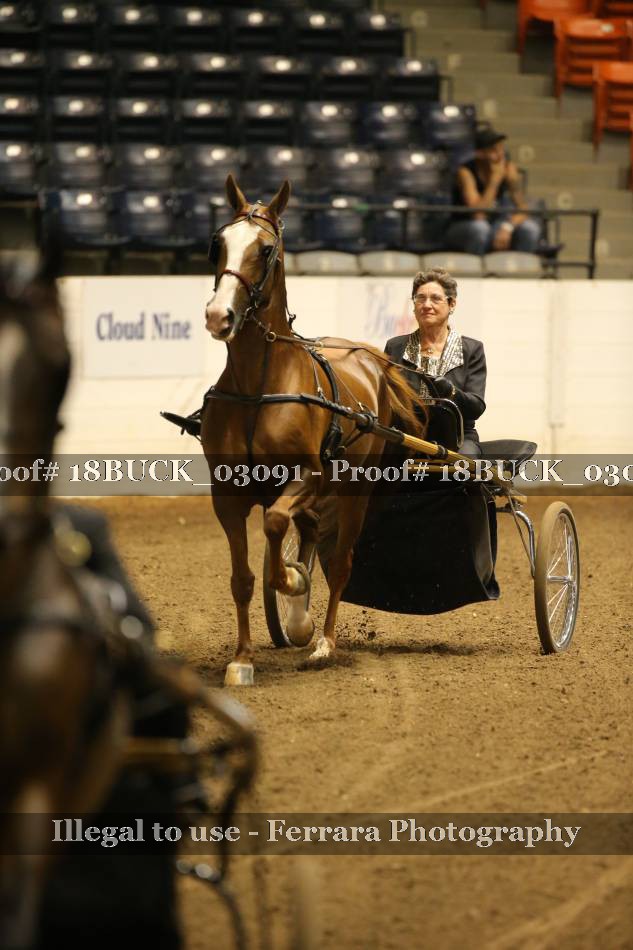 Proof 18BUCK_03091