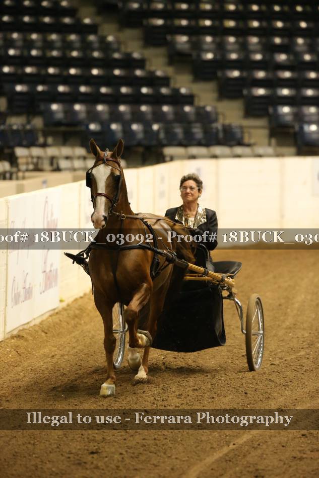 Proof 18BUCK_03092