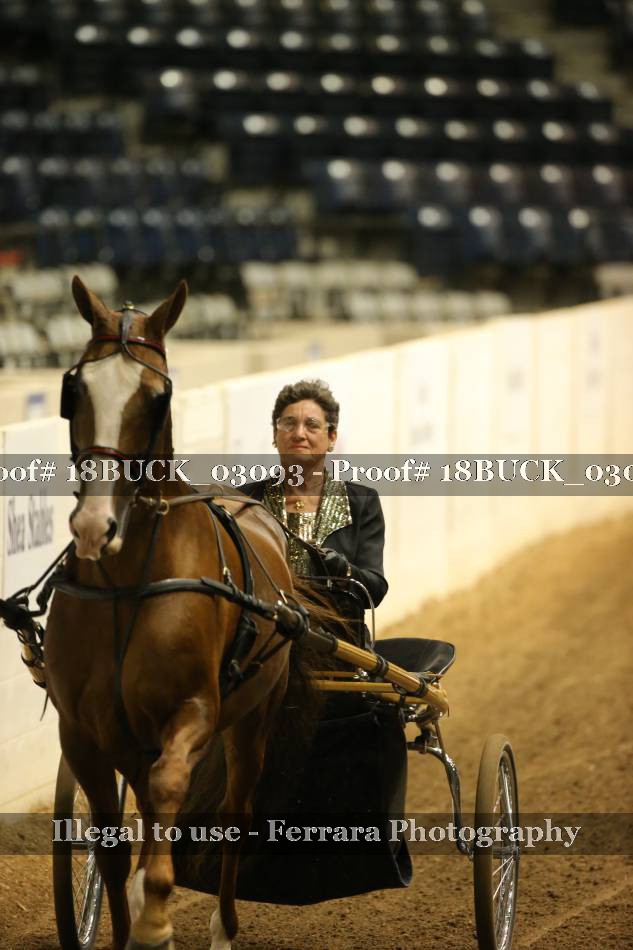 Proof 18BUCK_03093