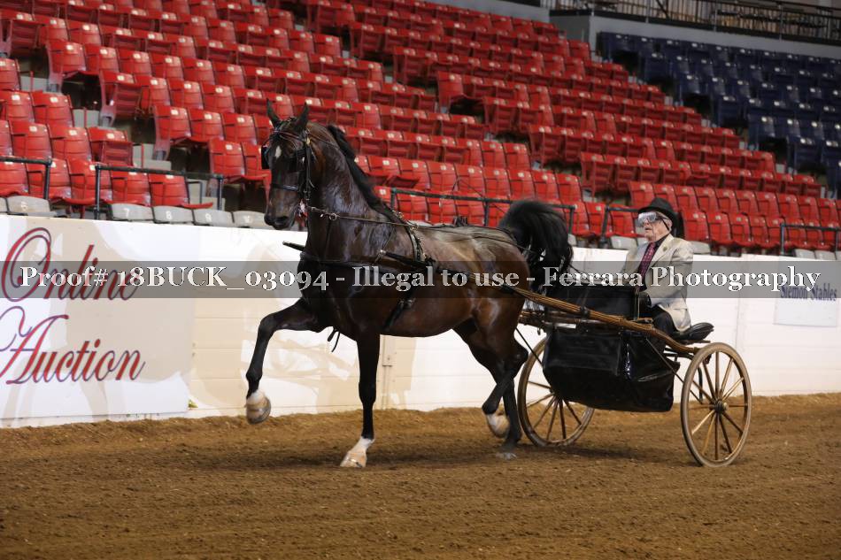 Proof 18BUCK_03094