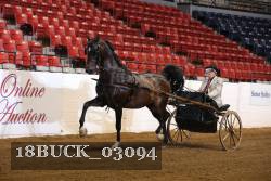 18BUCK_03094 proof